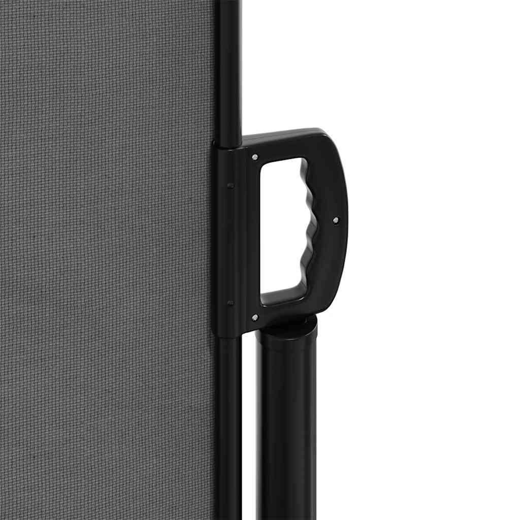 Retractable Side Awning 220x1200 cm Anthracite