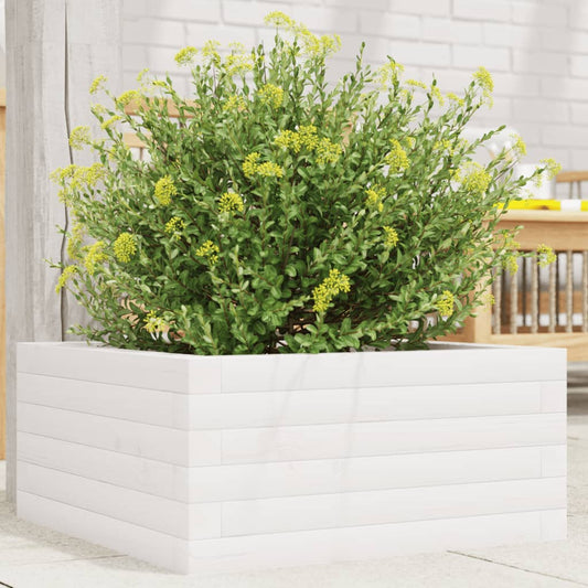 Garden Planter Solid Wood Pine Open Bottom Height 23 cm White 50 cm 50 cm