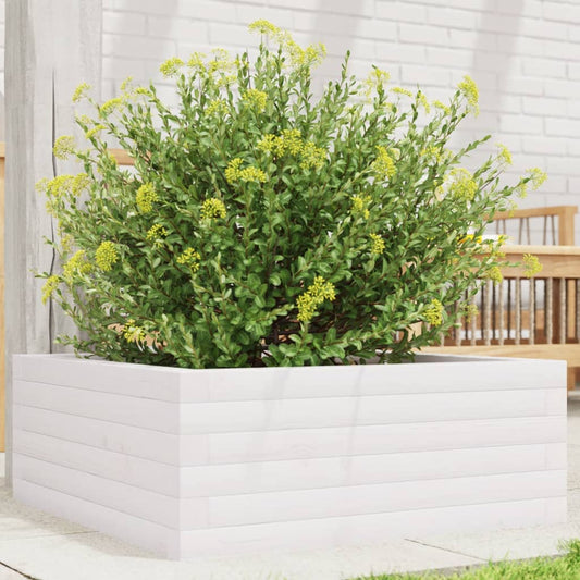 Garden Planter Solid Wood Pine Open Bottom Height 23 cm White 60 cm 60 cm