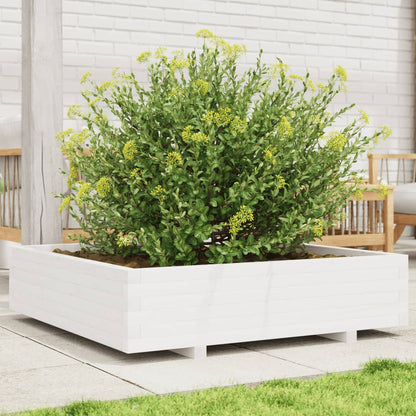Garden Planter 40x40x26.5 cm Solid Wood Pine with Legs White 100 cm 100 cm