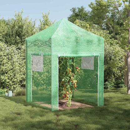 vidaXL Greenhouse with Pop-up Frame Green Iron