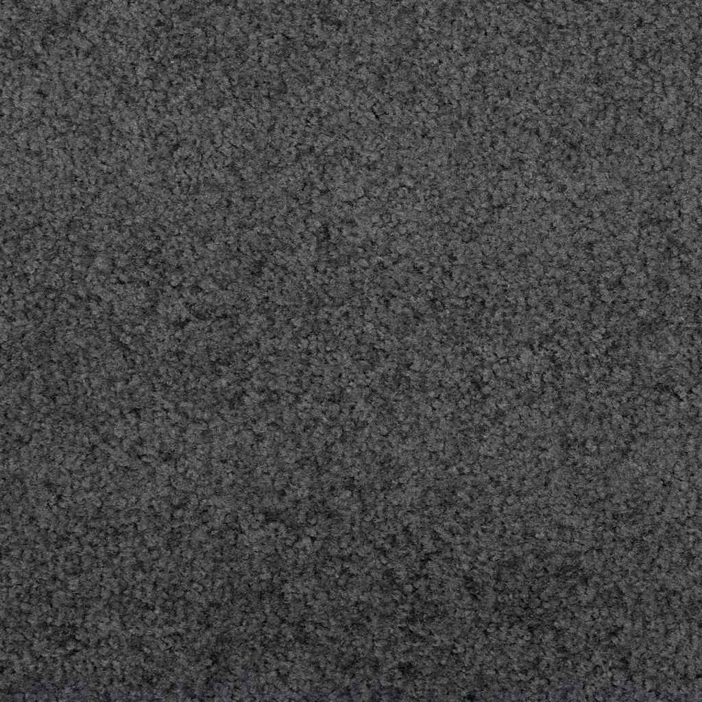 vidaXL Doormat Anthracite and Black 120 x 400 cm 100% Polyamide 6