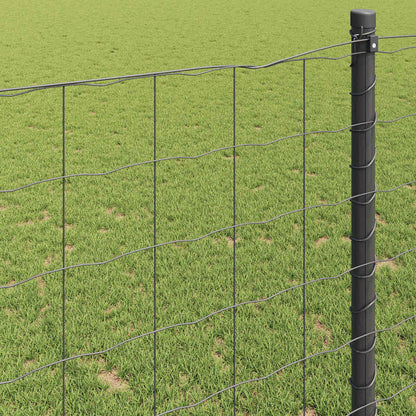 Euro Fence Steel Grey Length 10 m mesh Size 100 x 100 mm 1.6 m