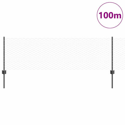 vidaXL Hexagonal Fence with Post 100 x 0.6 m PVC-Coated Steel Grey 3