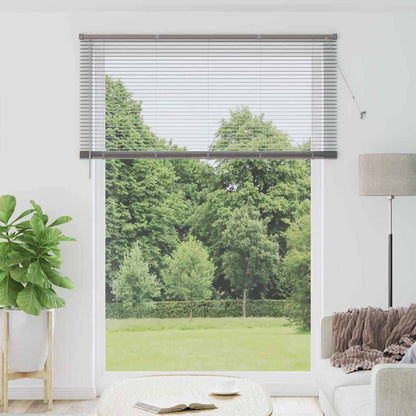 Venetian Blind 220 x 55 cm 25 mm Aluminium Silver 160 cm