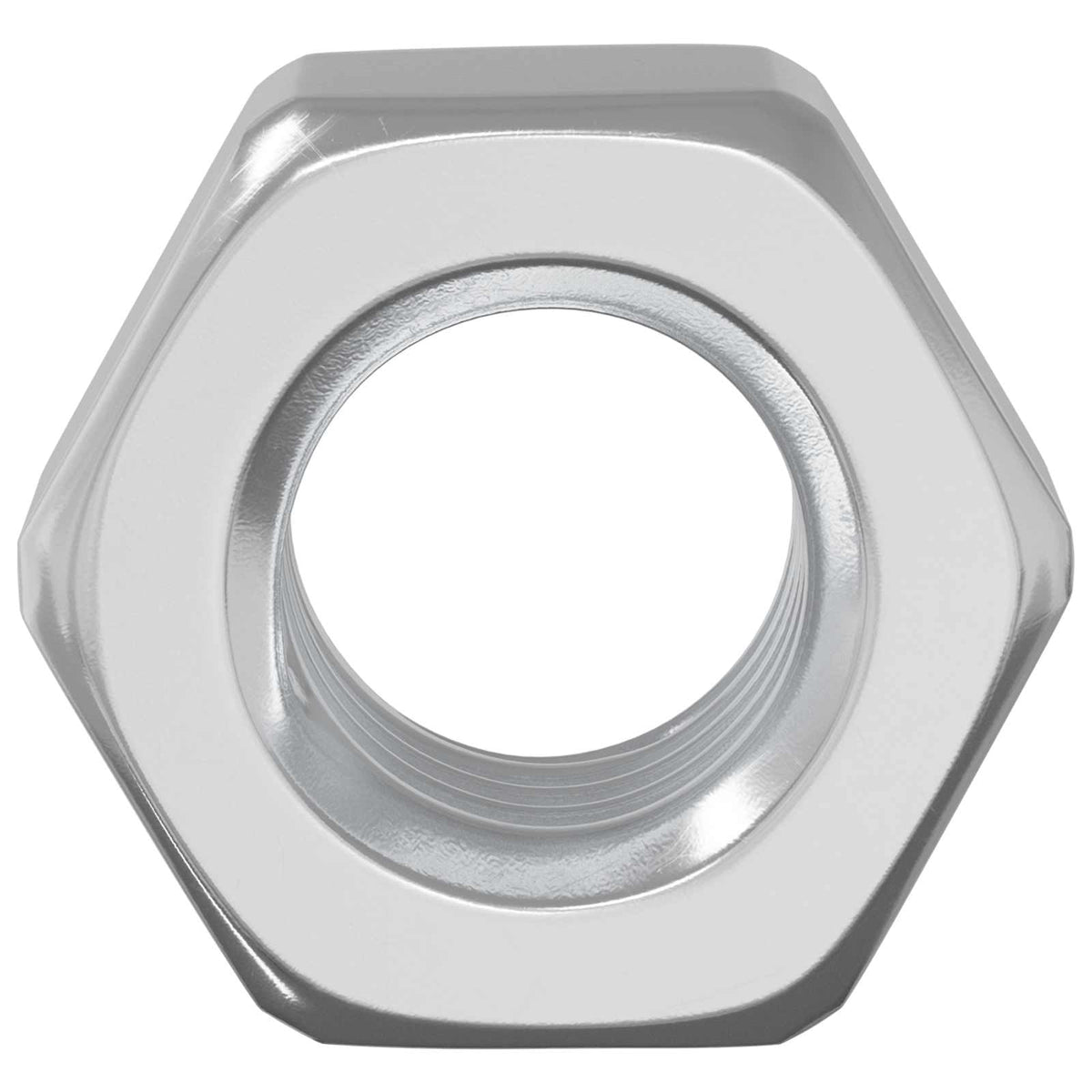 vidaXL Hex Acorn Nuts 3913 pcs Silver Metal 3