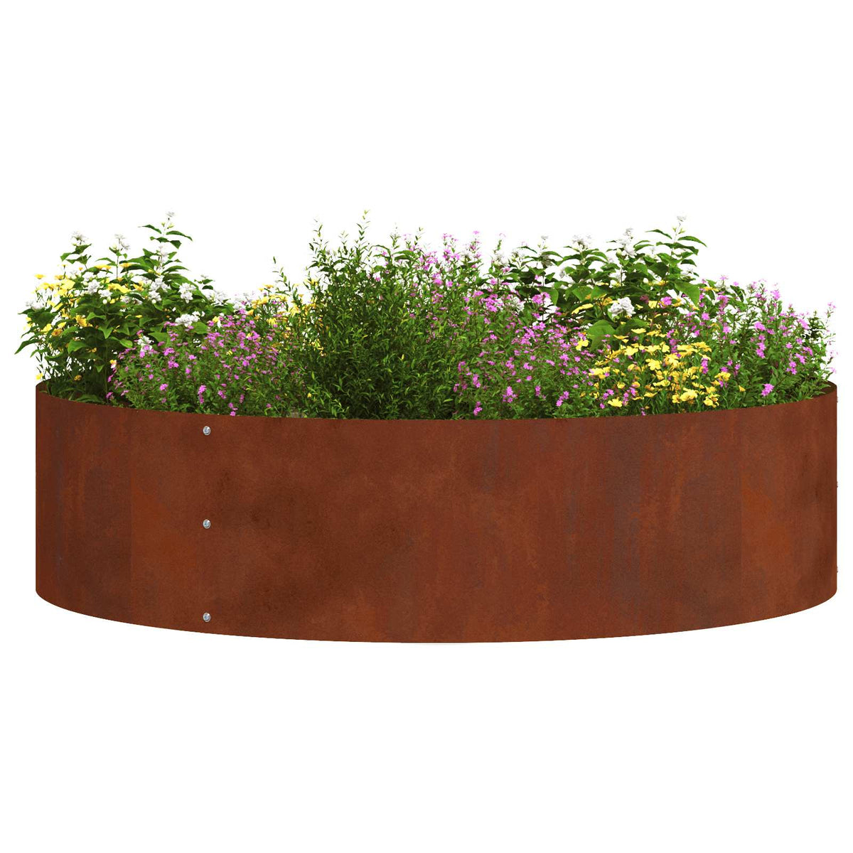 Planter Ring 80 x 80 x 20 cm Cold-rolled Steel 5 pcs 80 cm Weathering steel