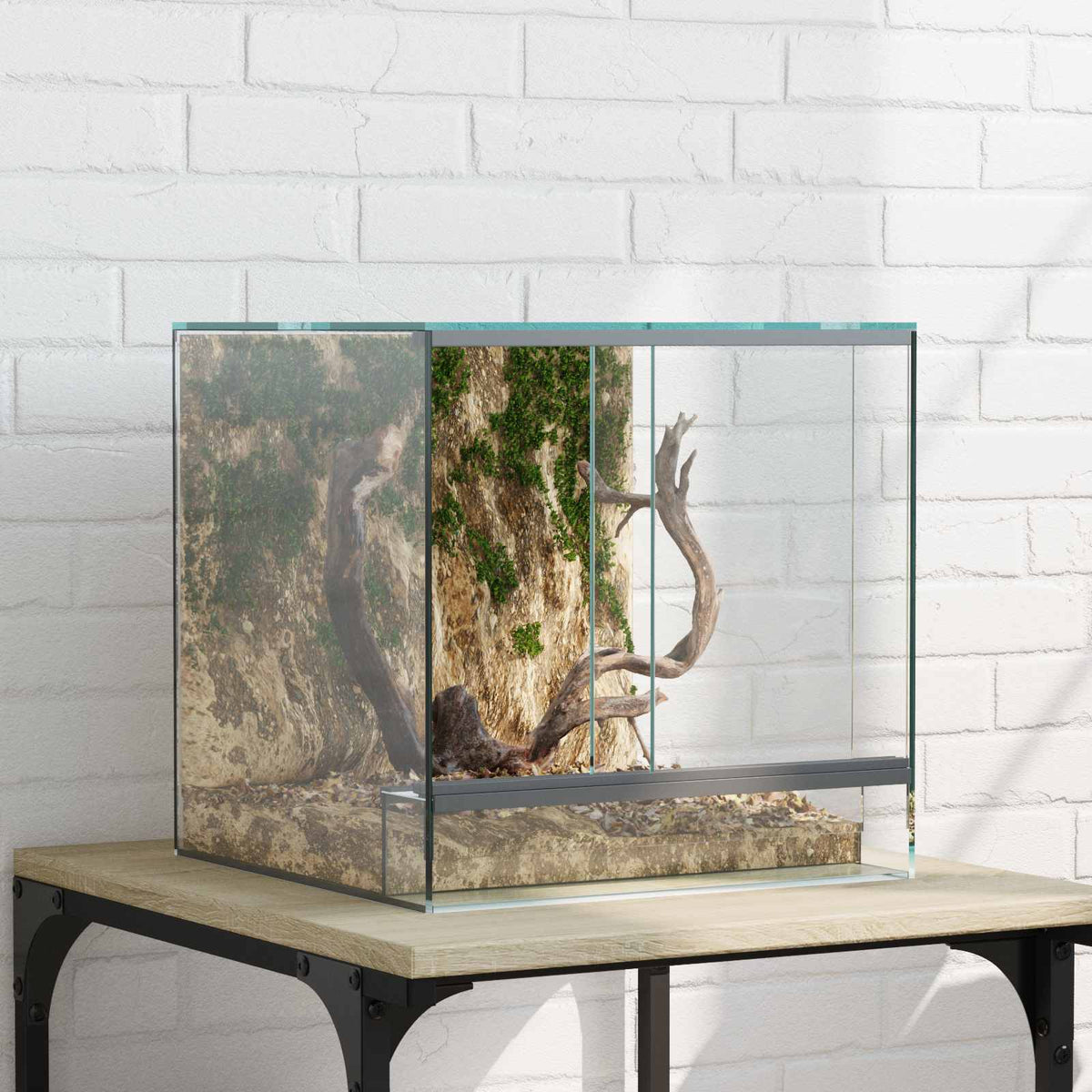 Terrarium with Storage Transparent Glass 30 cm 30 cm 30 cm