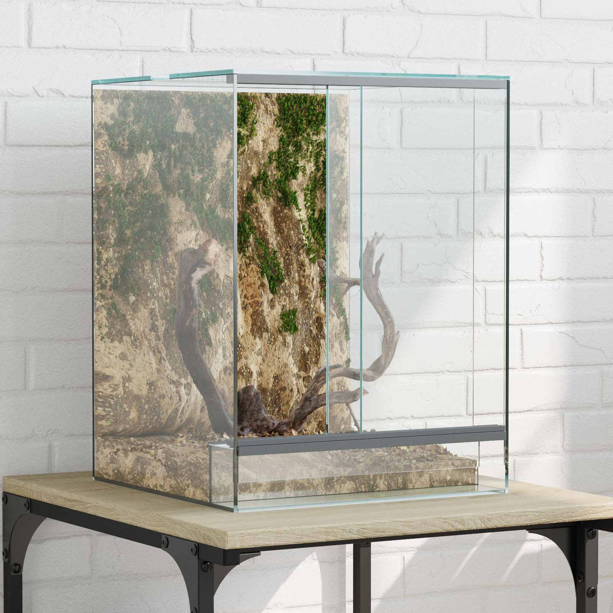 Terrarium with Storage Transparent Glass 30 cm 40 cm 30 cm