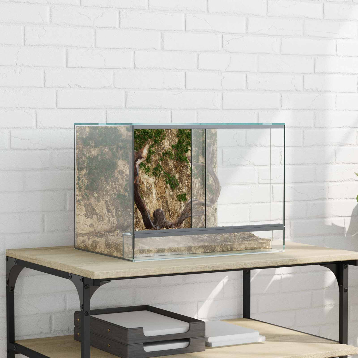Terrarium with Storage Transparent Glass 40 cm 30 cm 30 cm