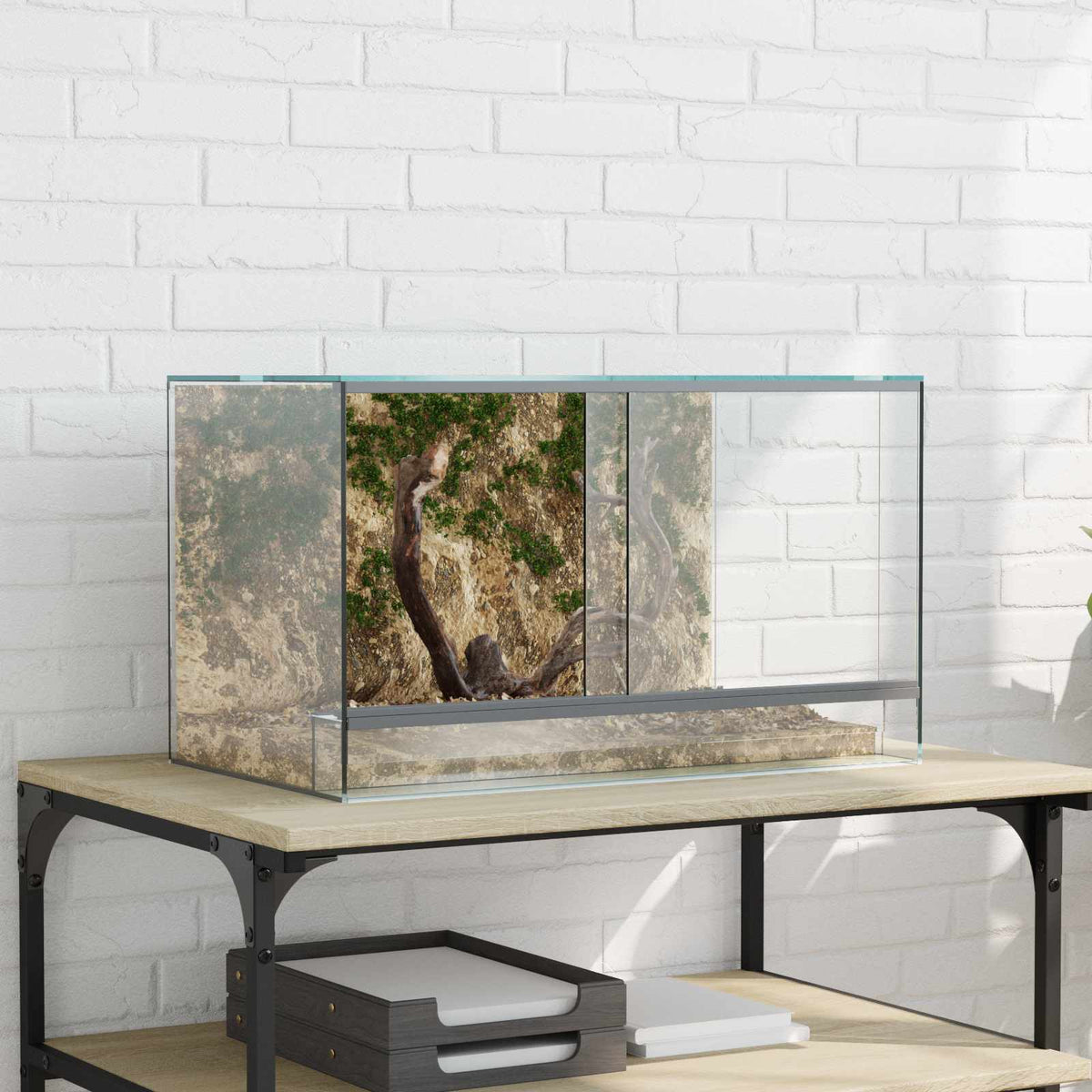 Terrarium with Storage Transparent Glass 50 cm 30 cm 30 cm