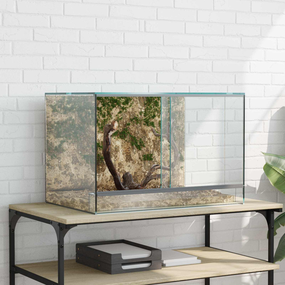 Terrarium with Storage Transparent Glass 60 cm 40 cm 40 cm