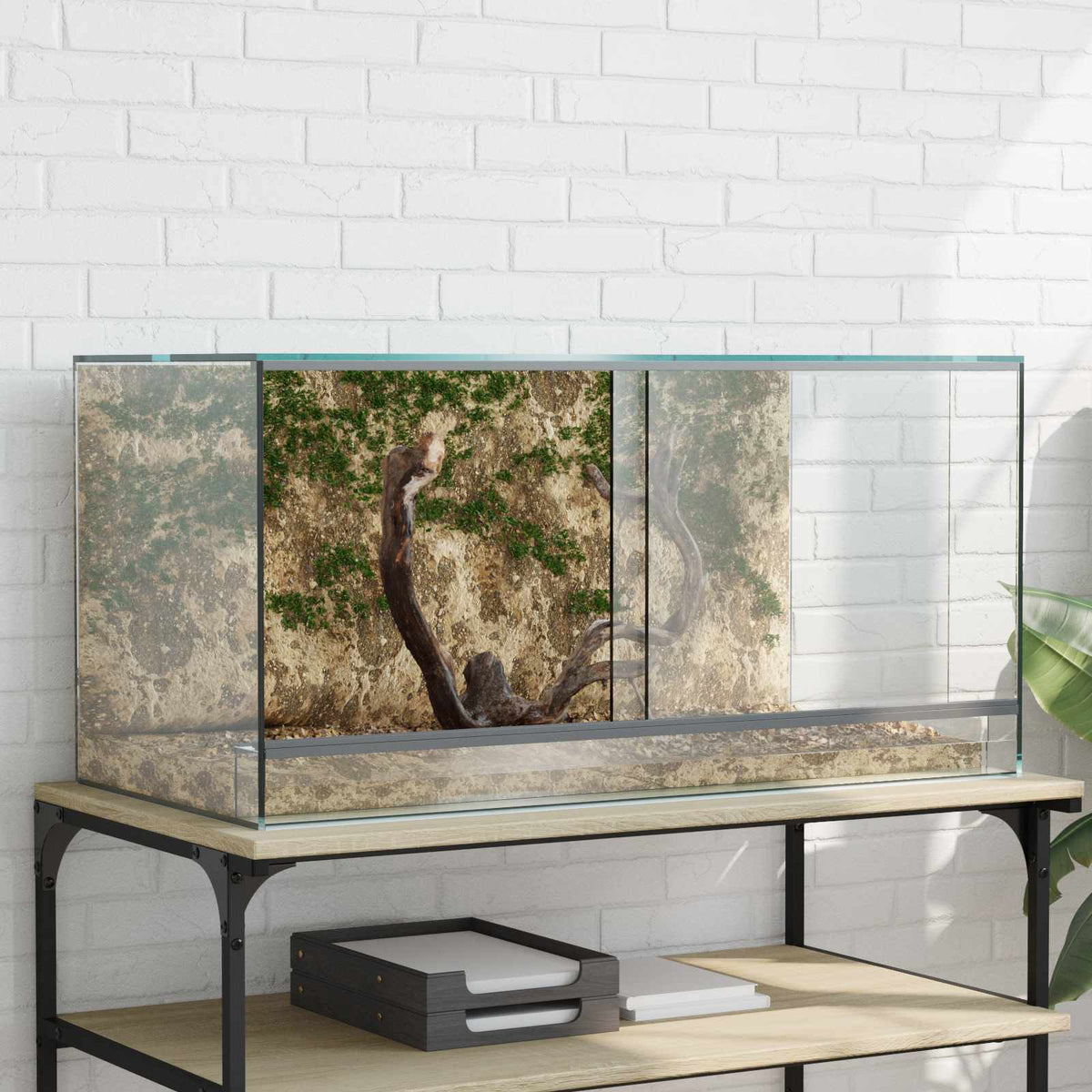 vidaXL Terrarium with Storage Transparent 80 x 40 x 40 cm Glass 1