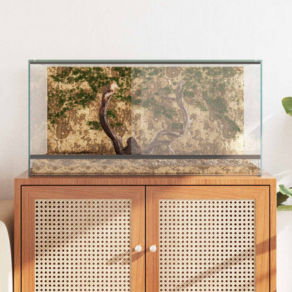 vidaXL Terrarium with Storage Transparent 80 x 40 x 40 cm Glass 4