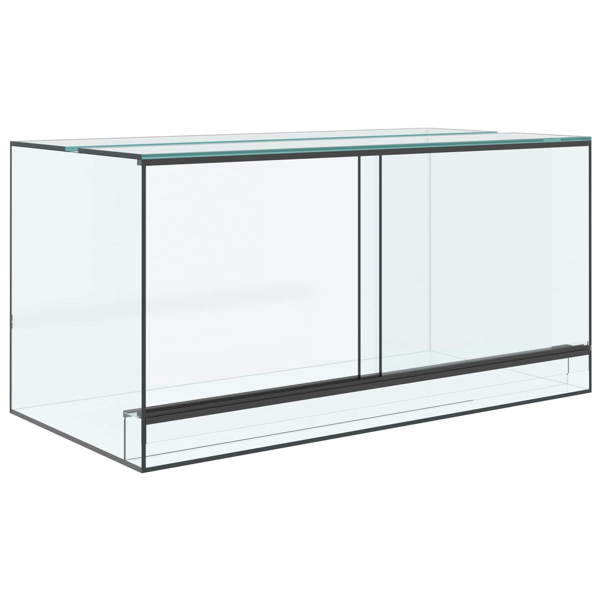 vidaXL Terrarium with Storage Transparent 80 x 40 x 40 cm Glass 2