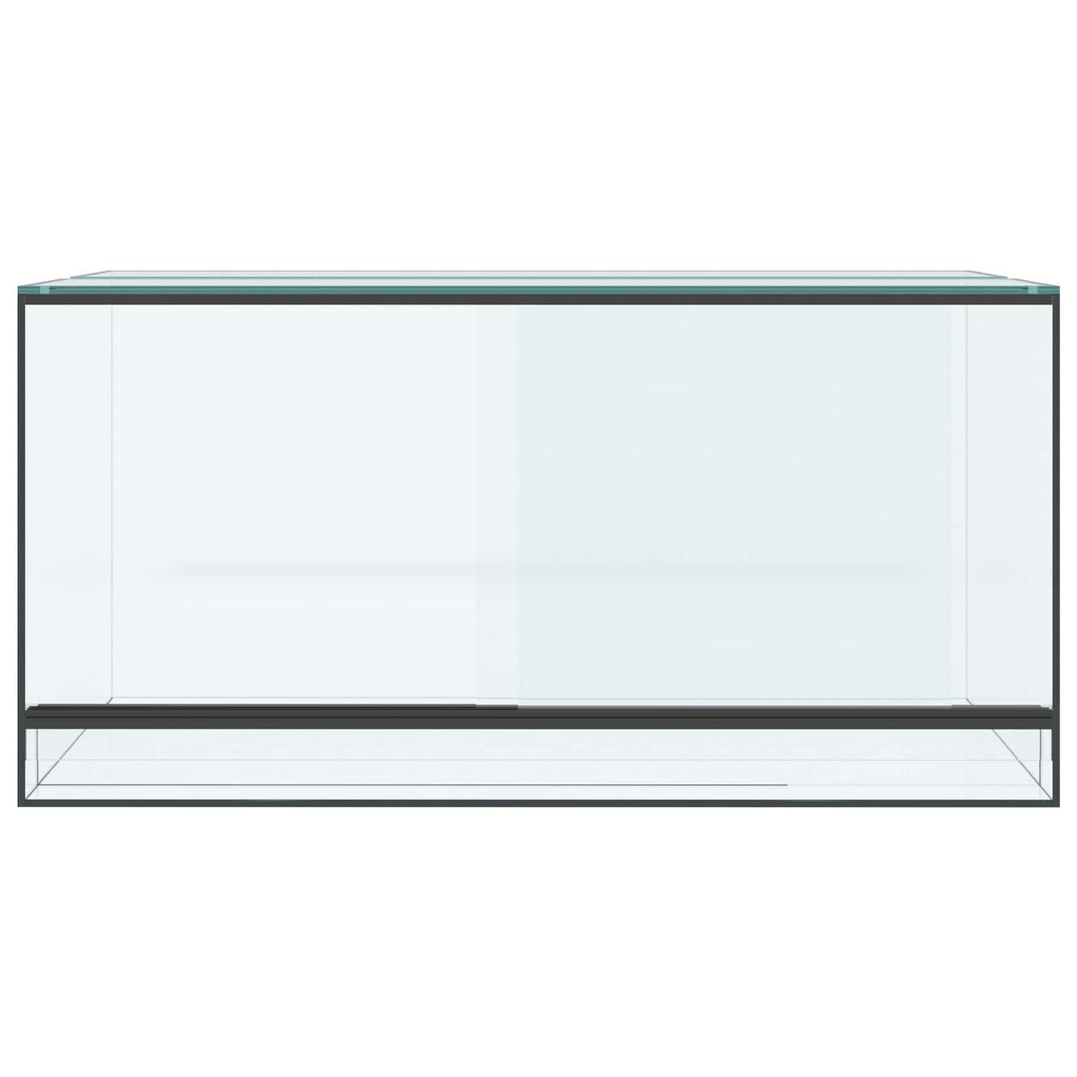 vidaXL Terrarium with Storage Transparent 80 x 40 x 40 cm Glass 5