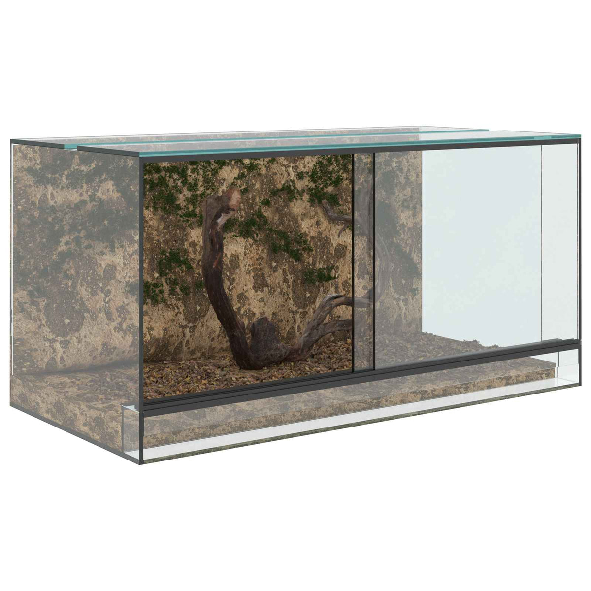 vidaXL Terrarium with Storage Transparent 80 x 40 x 40 cm Glass 3
