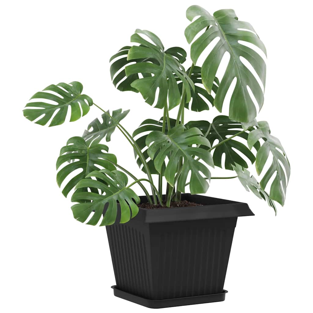 Plant Pots Plastic Black 6 pcs 28.5 cm 22 cm 28.5 cm