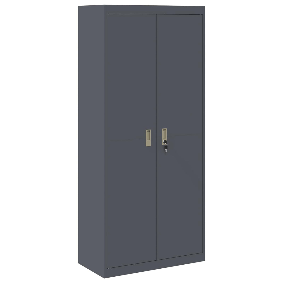 vidaXL Storage Cabinet Anthracite 80 x 40 x180 cm Steel 2