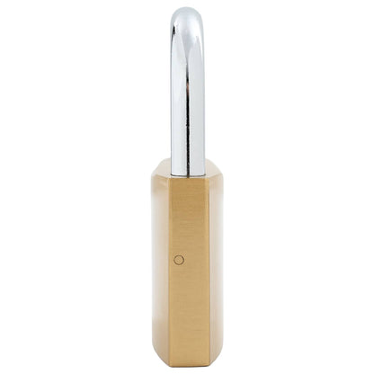vidaXL U Lock with Keys Brass 7.4 x 2.1 x 10.6 cm Iron 6