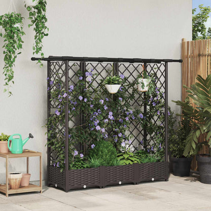 Raised Bed with Trellis and Roof PP Brown with Flat Roof (3 Side trellis) 164 cm 121 cm