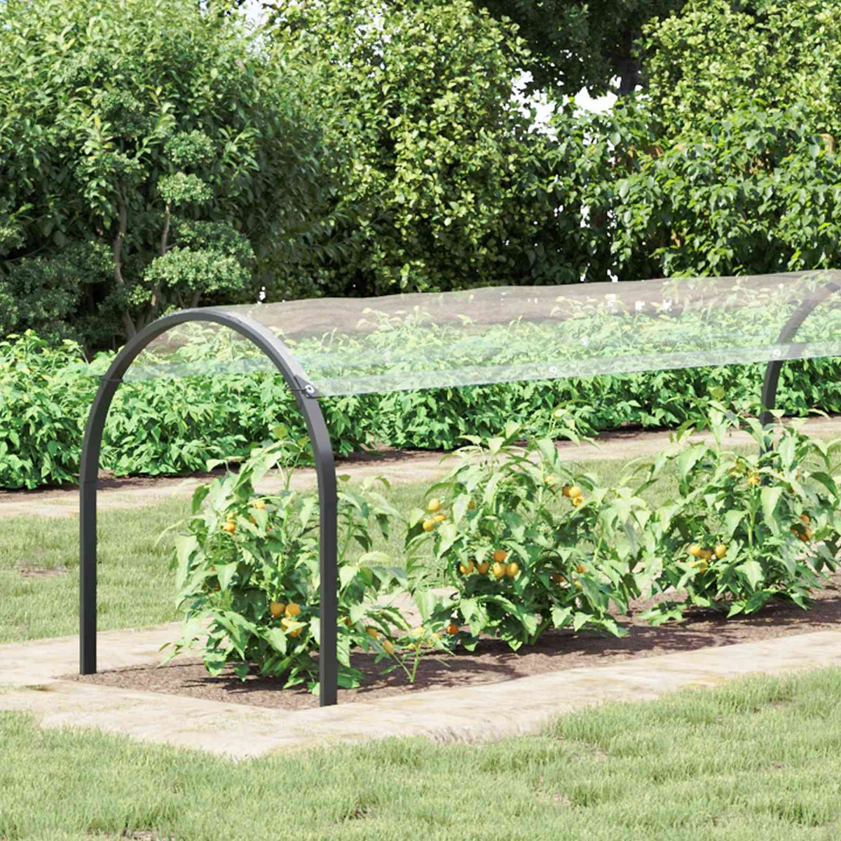 Plant Cover with Eyelets PVC Width 1 m 12 m