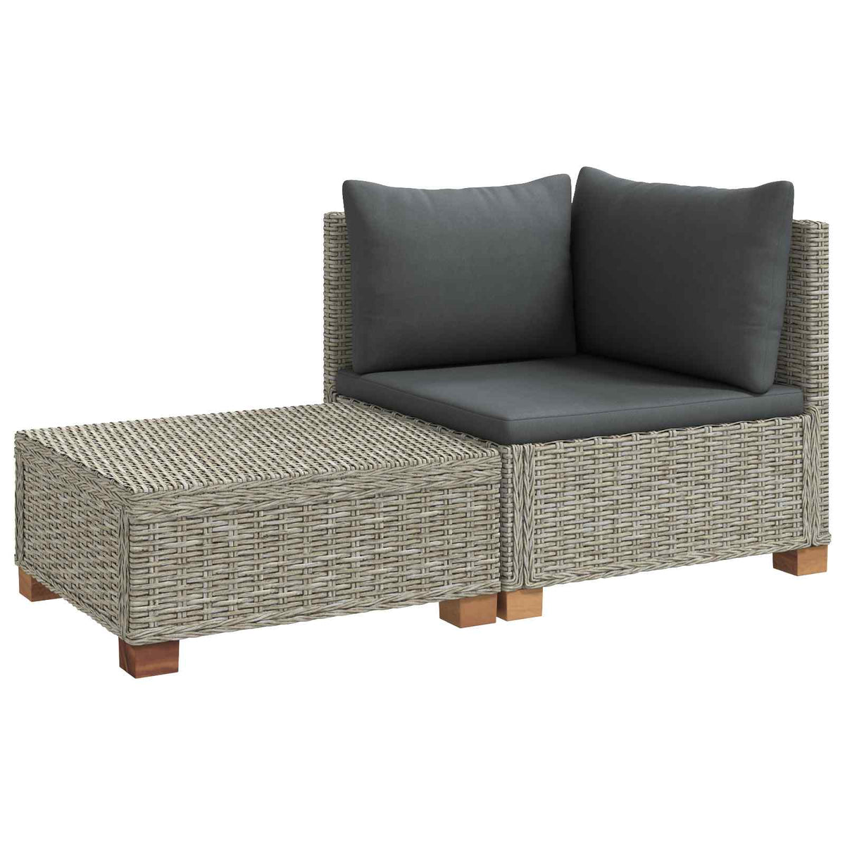 vidaXL 2 pcs Rattan Lounge Set with Cushions GENDT Natural Rattan 2
