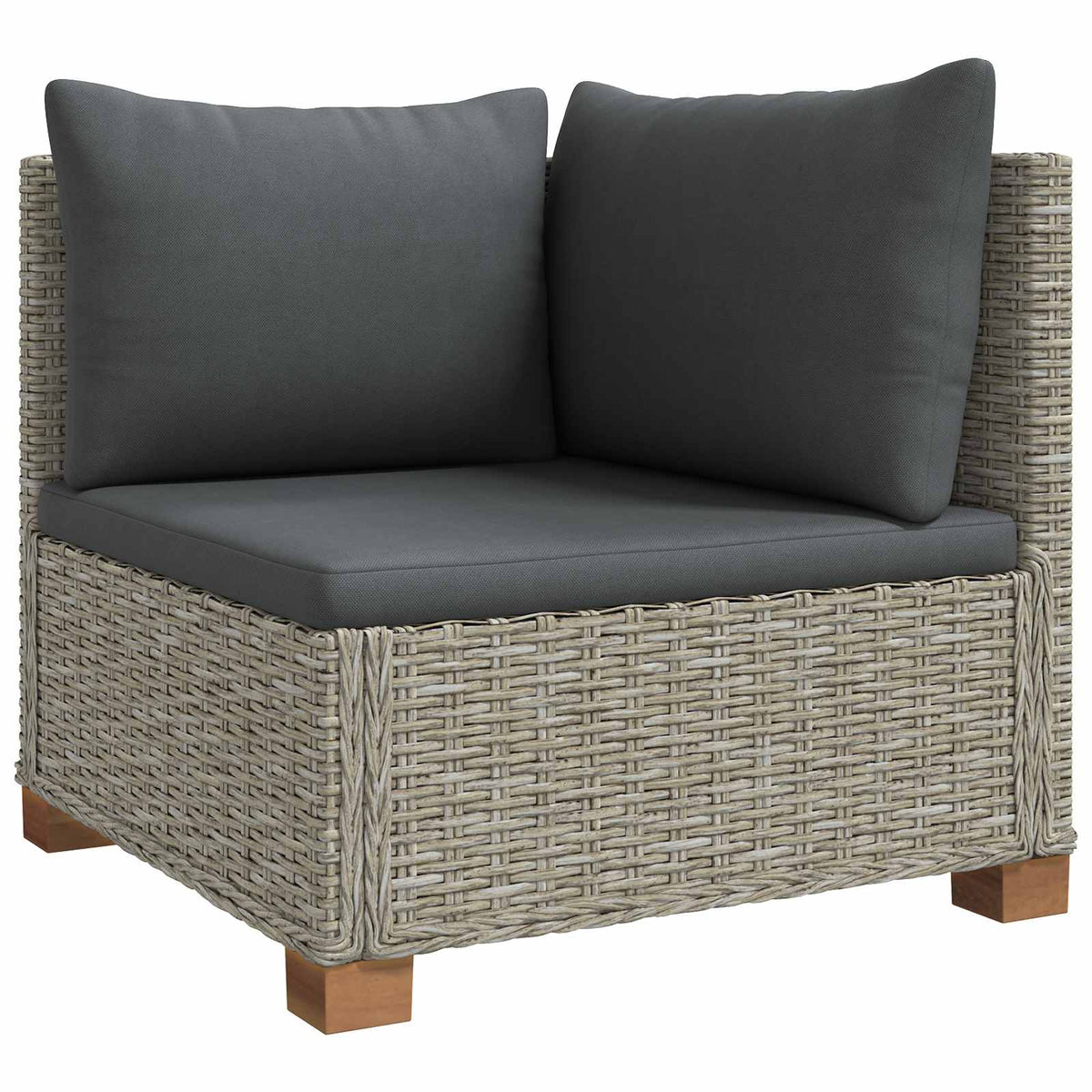 vidaXL 2 pcs Rattan Lounge Set with Cushions GENDT Natural Rattan 5