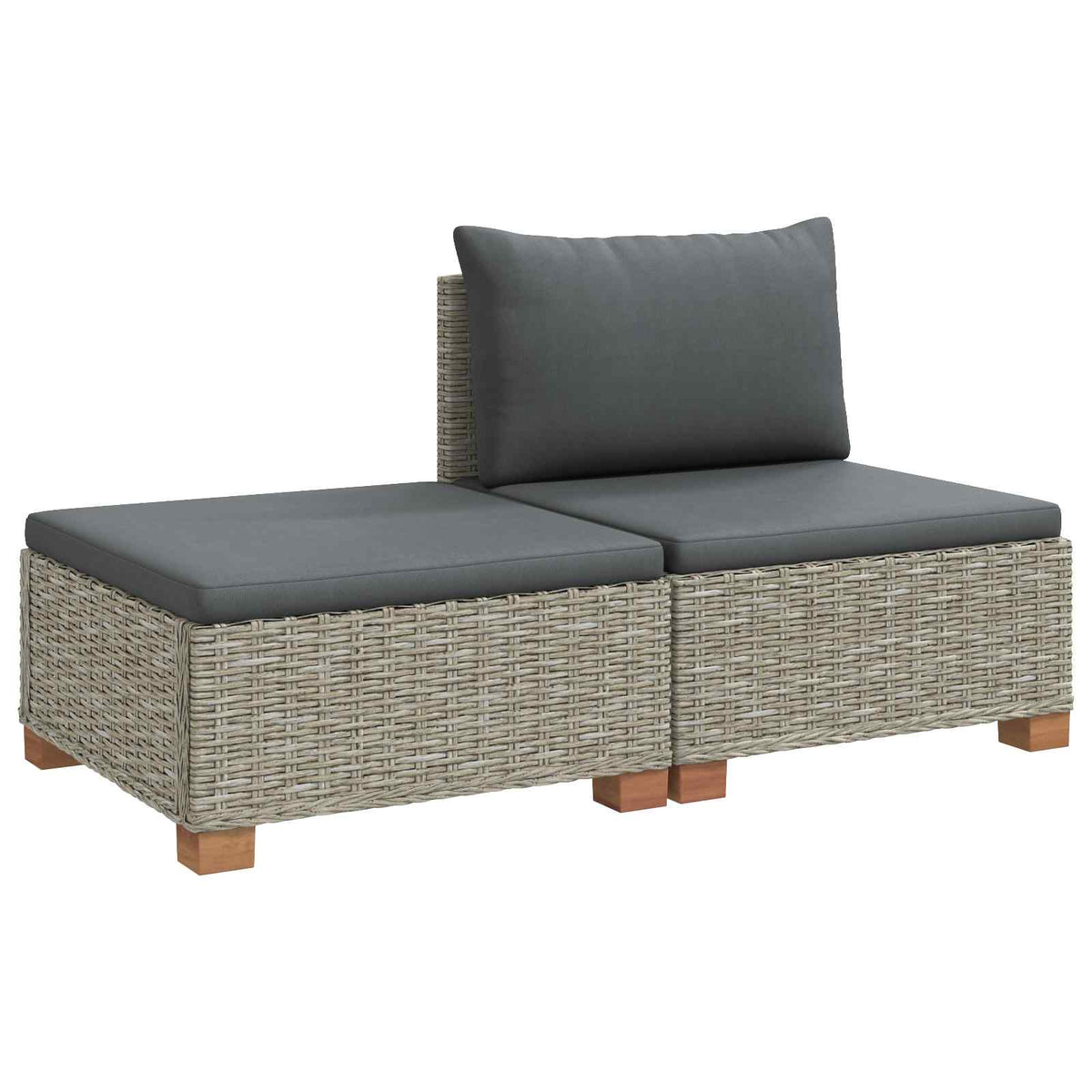 vidaXL 2 pcs Rattan Lounge Set with Cushions GENDT Natural Rattan 2