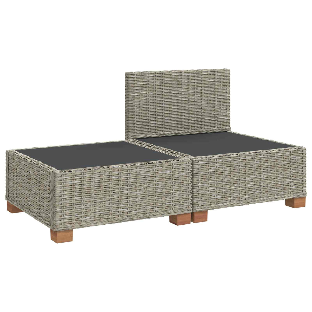 vidaXL 2 pcs Rattan Lounge Set with Cushions GENDT Natural Rattan 4