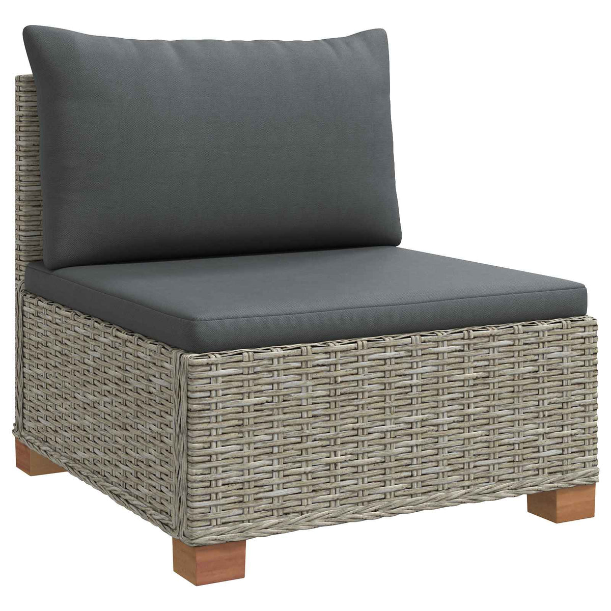 vidaXL 2 pcs Rattan Lounge Set with Cushions GENDT Natural Rattan 5