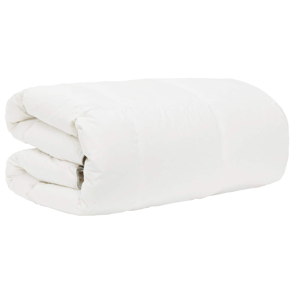 vidaXL Duvet FULDA 137 x 200 cm 4 Seasons 310 GSM 90% Goose Down White 4