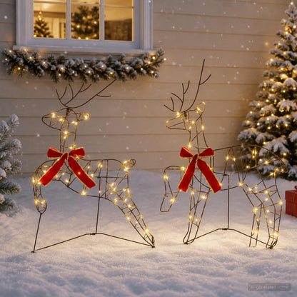 Christmas Reindeer Cold White Brown string 2