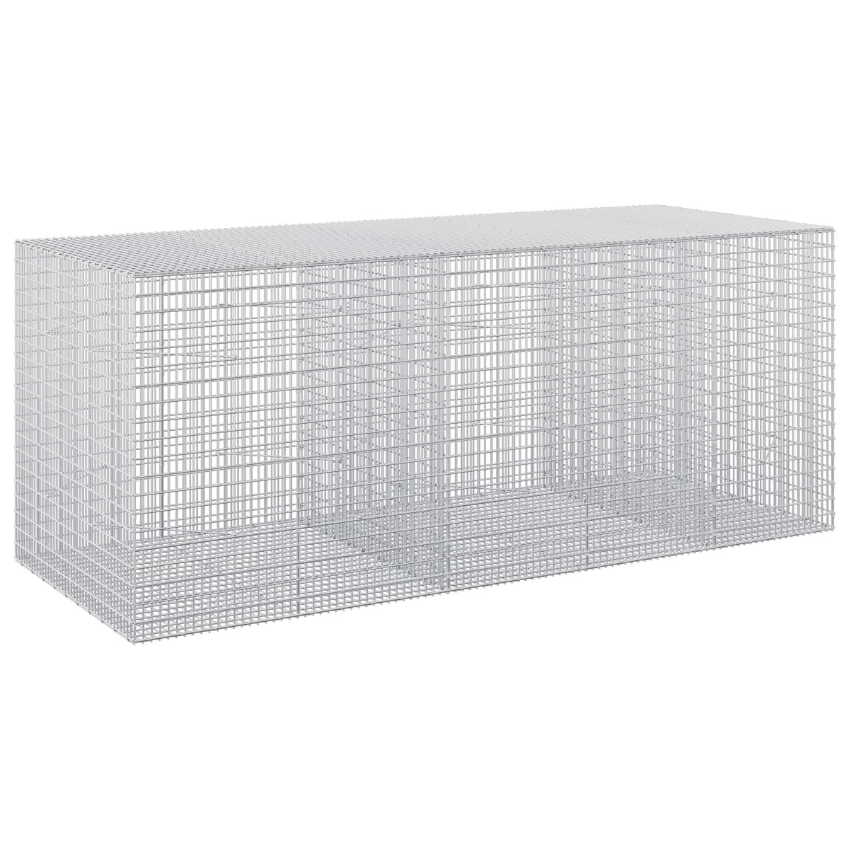 vidaXL Gabion with 3.5 mm Wire and 5x2.5 cm Mesh 250x100x100 cm 2