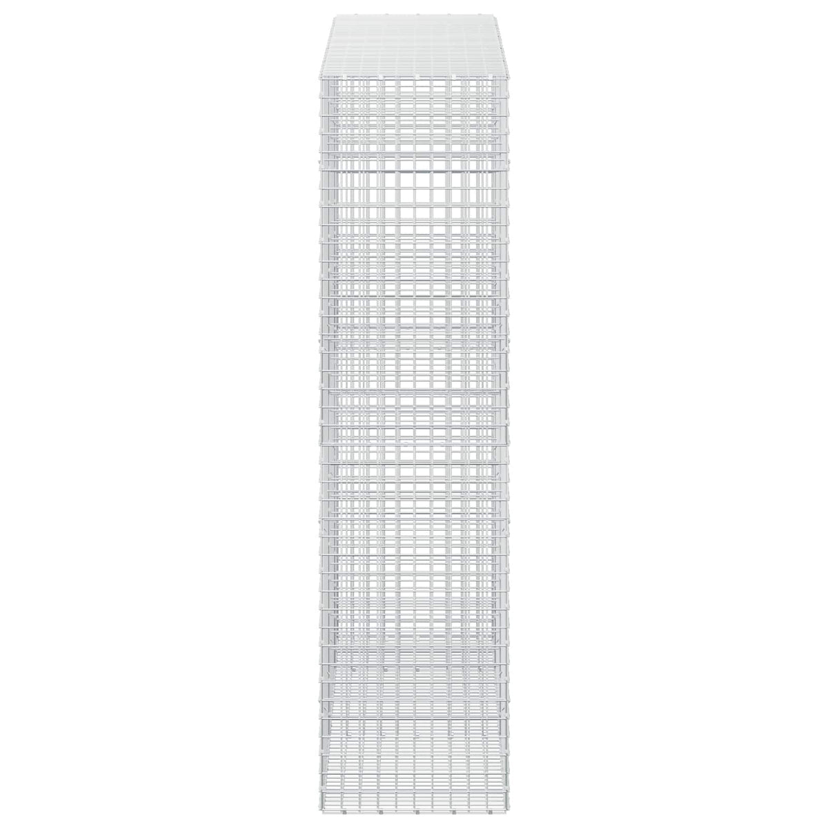 vidaXL Gabion with 3.5 mm Wire and 5x5 cm Mesh 250x50x200 cm 4