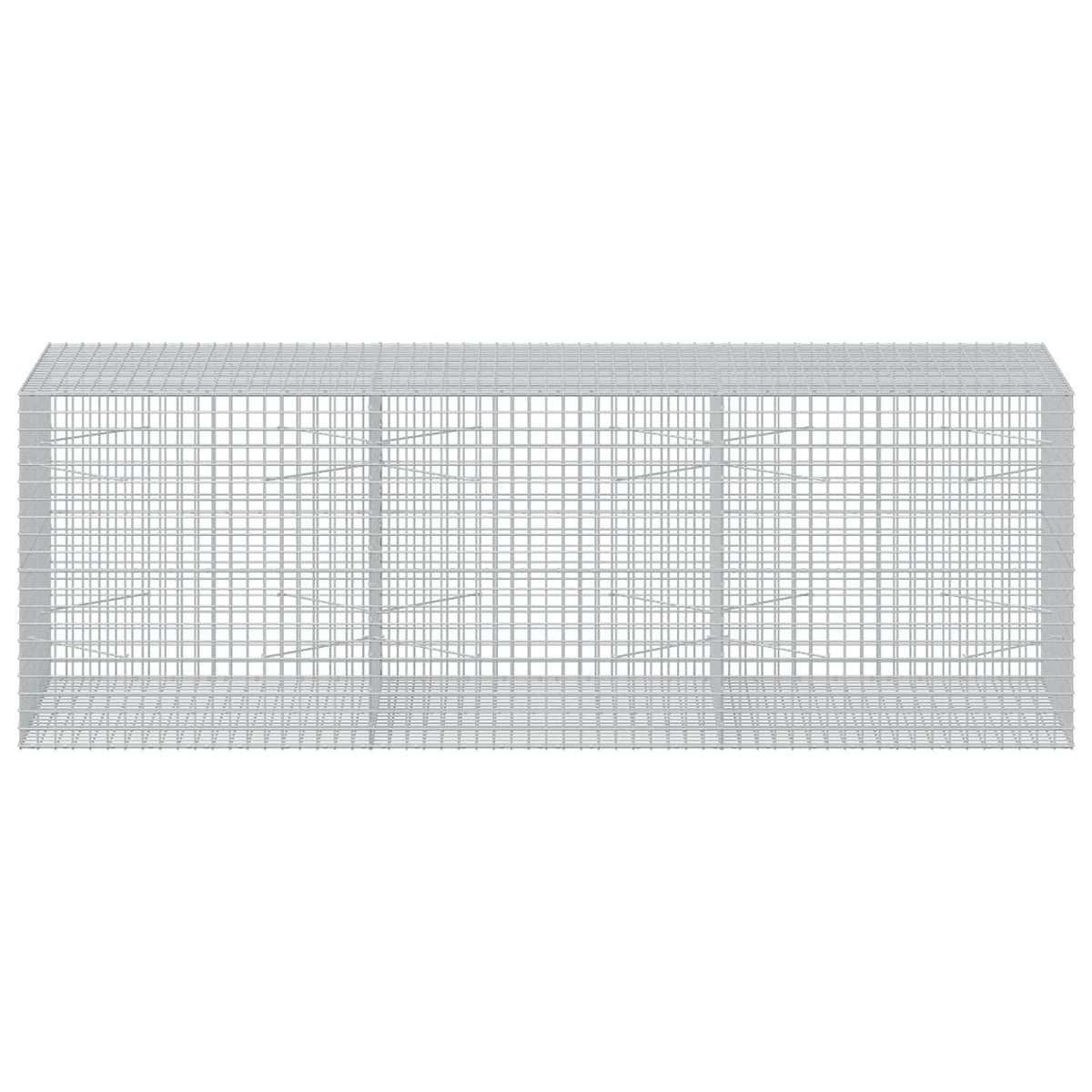 vidaXL Gabion with 3.5 mm Wire and 5x5 cm Mesh 300x100x100 cm 3