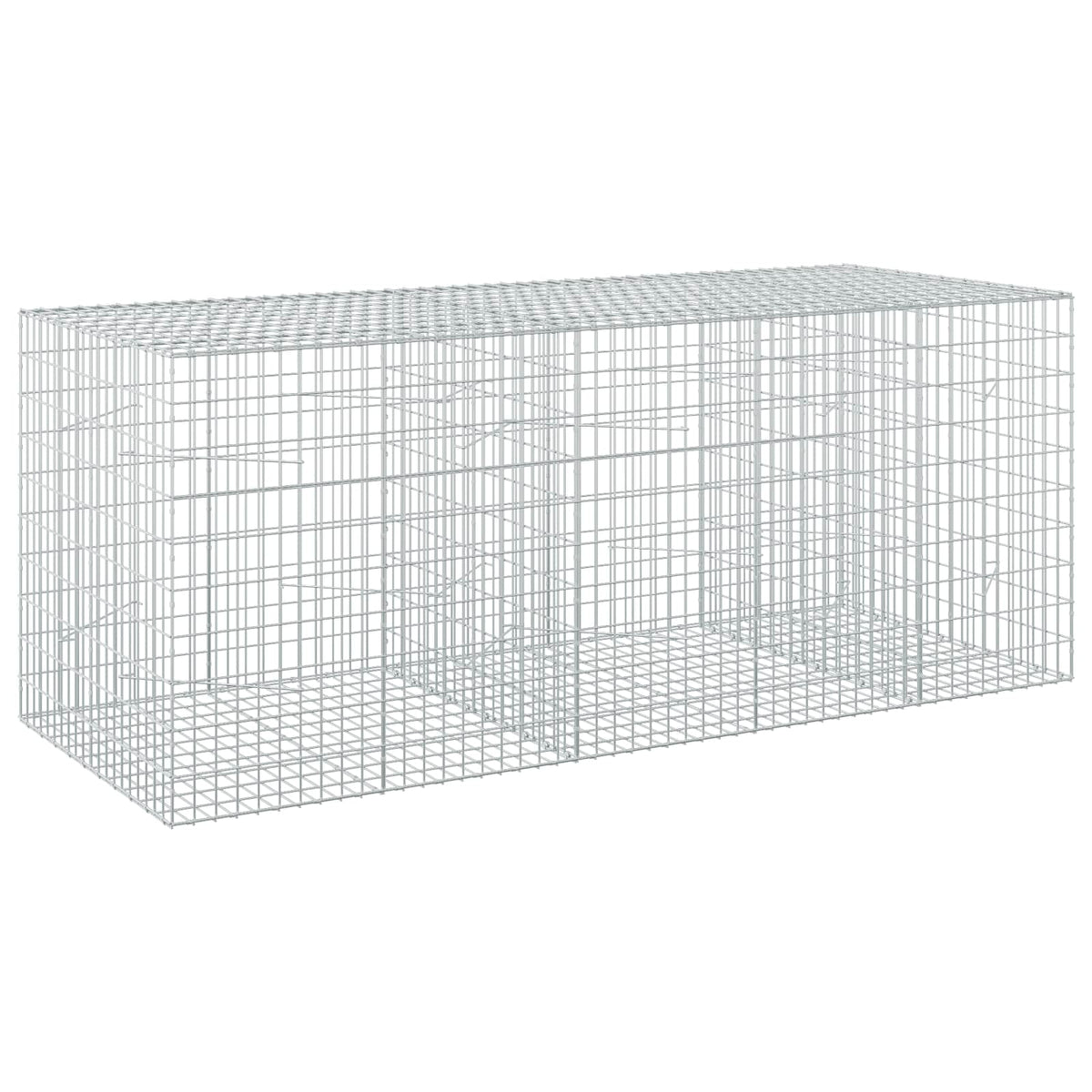 vidaXL Gabion with 3.5 mm Wire and 5x10 cm Mesh 250x100x100 cm 2