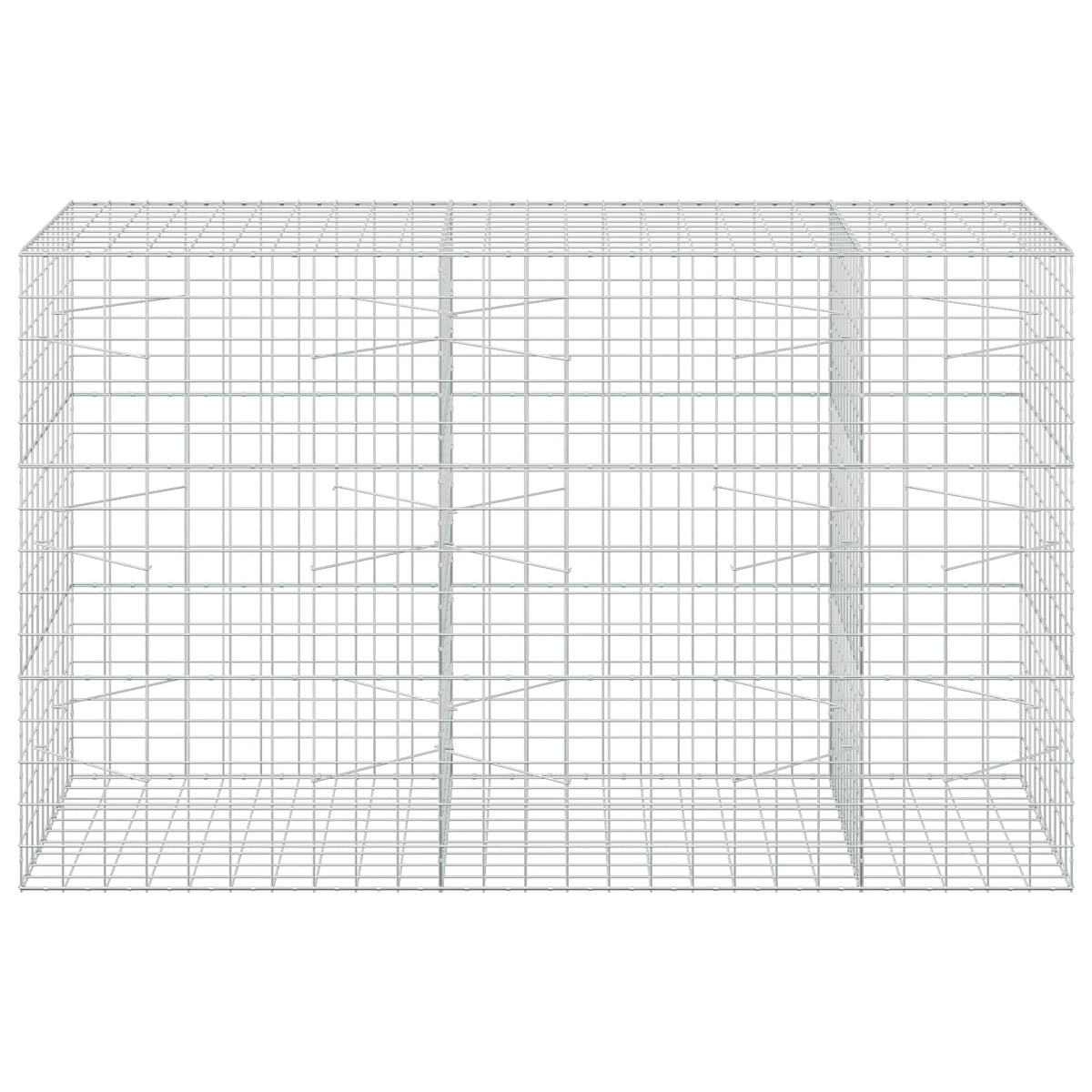 vidaXL Gabion with 3.5 mm Wire and 10x10 cm Mesh 250x100x150 cm 3