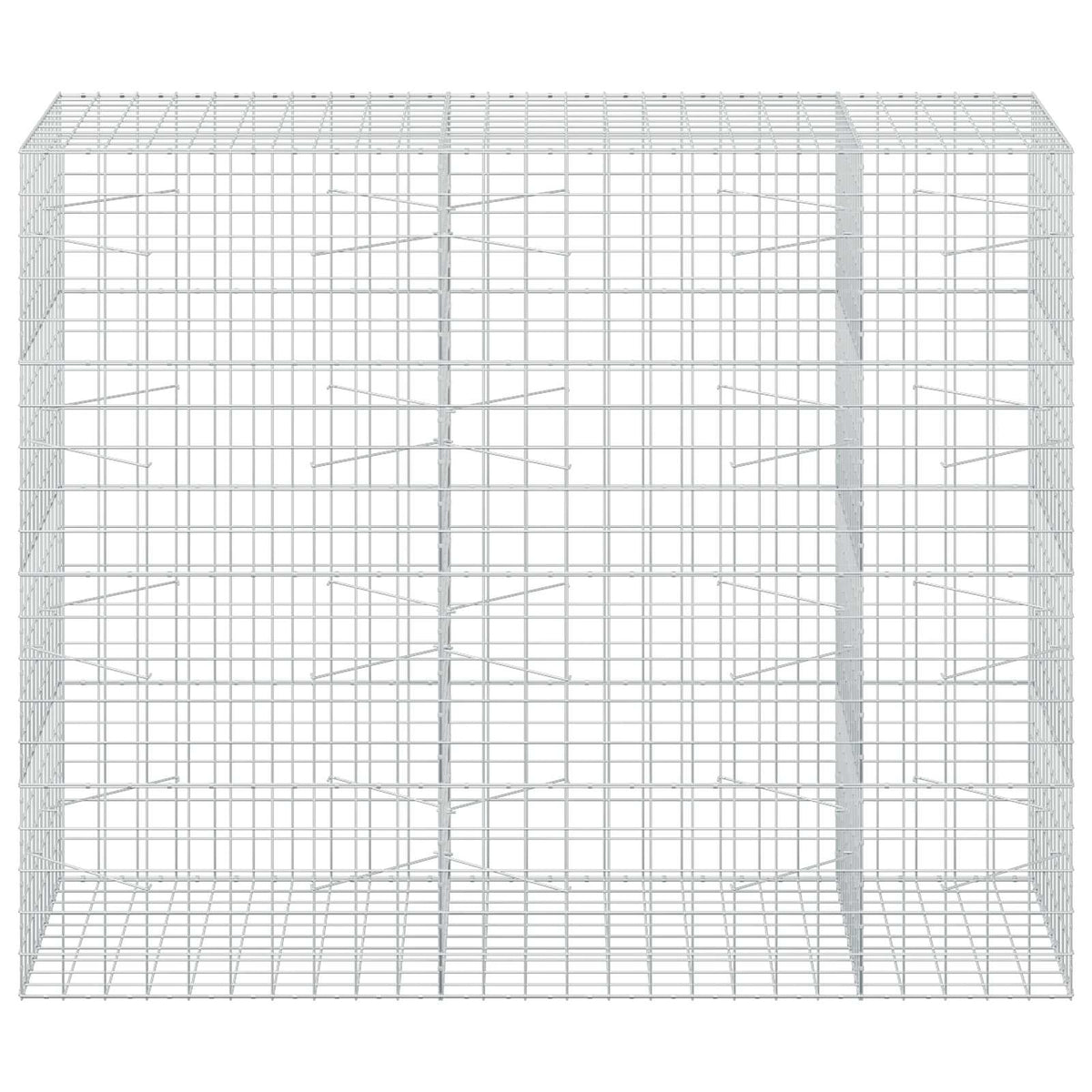 vidaXL Gabion with 3.5 mm Wire and 10x10 cm Mesh 250x100x200 cm 3