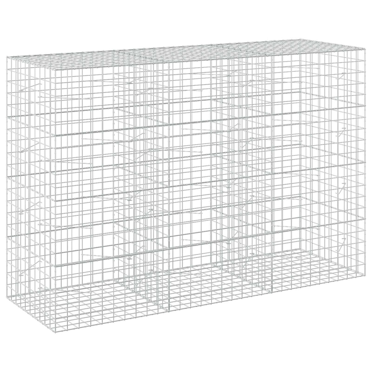 vidaXL Gabion with 3.5 mm Wire and 10x10 cm Mesh 300x100x200 cm 2