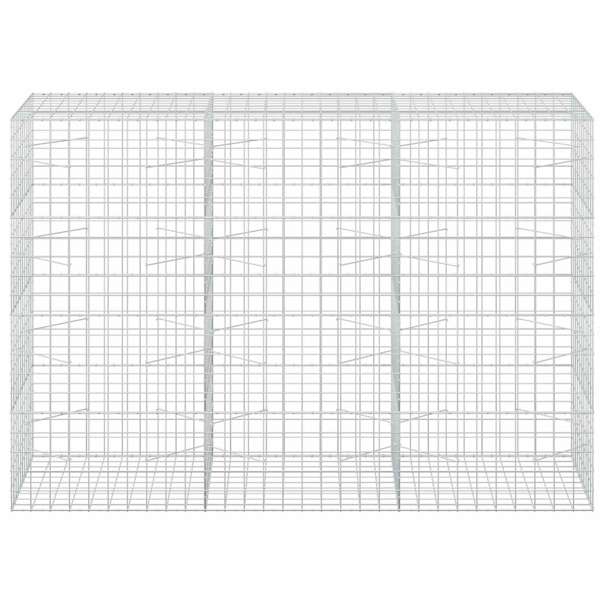 vidaXL Gabion with 3.5 mm Wire and 10x10 cm Mesh 300x100x200 cm 3