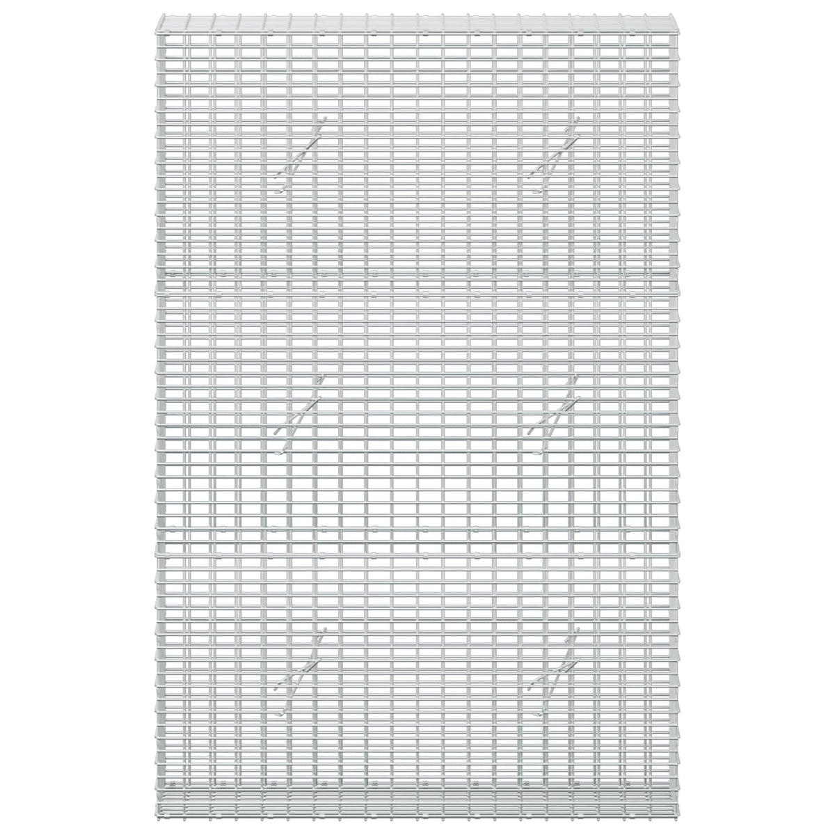 Gabion with 5 mm Wire and 5x2.5 cm Mesh 100x20x150 cm 100 cm