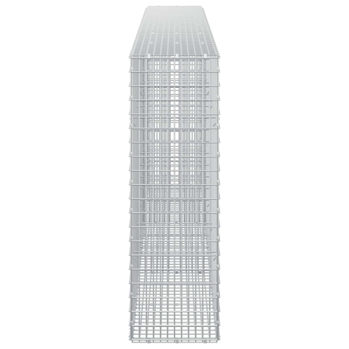 Gabion with 5 mm Wire and 5x2.5 cm Mesh 50x30x100 cm 300 cm