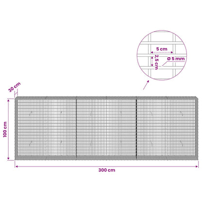 Gabion with 5 mm Wire and 5x2.5 cm Mesh 50x30x100 cm 300 cm