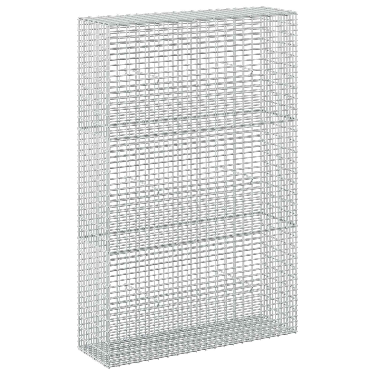 vidaXL Gabion with 5 mm Wire and 5x2.5 cm Mesh 100x30x150 cm 2