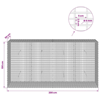 Gabion with 5 mm Wire and 5x2.5 cm Mesh 50x50x100 cm 200 cm
