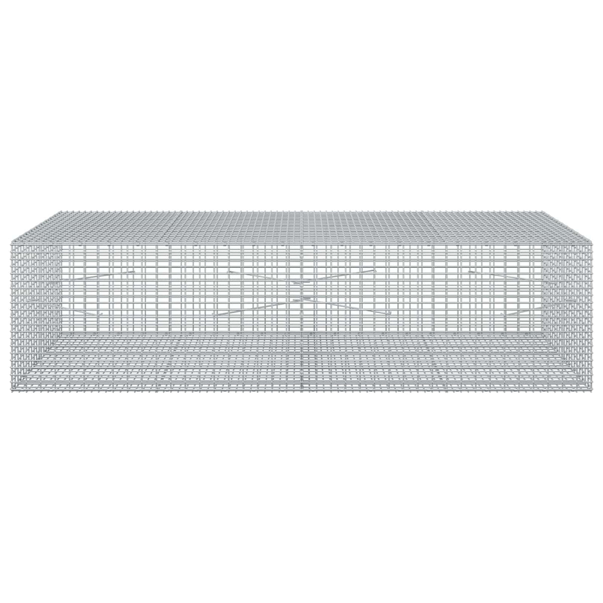 Gabion with 5 mm Wire and 5x2.5 cm Mesh 100x100x50 cm 200 cm