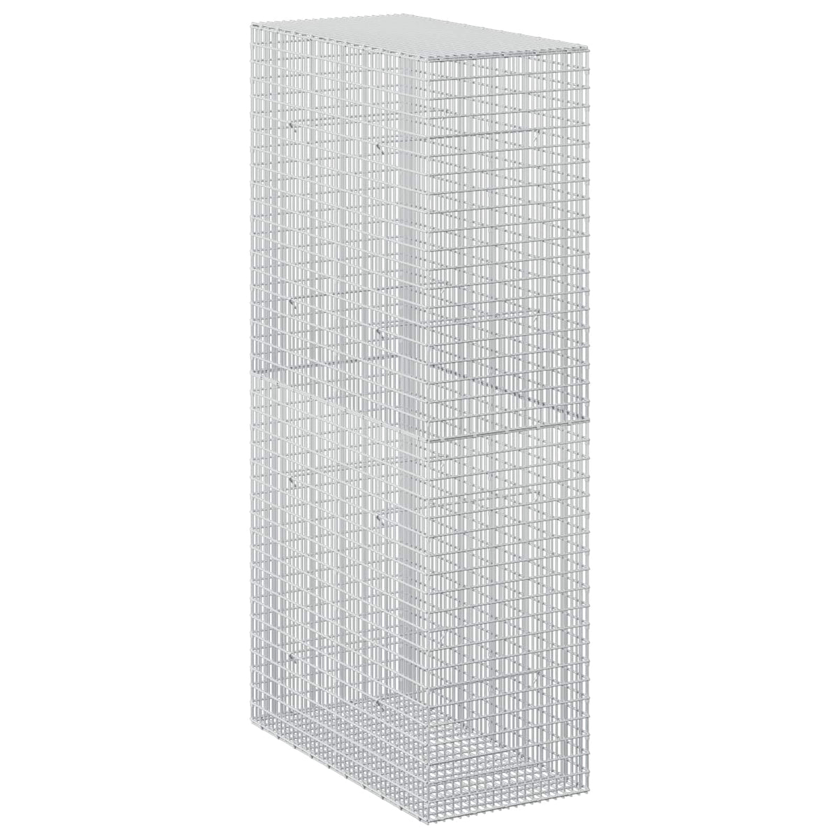 vidaXL Gabion with 5 mm Wire and 5x2.5 cm Mesh 50x100x200 cm 2