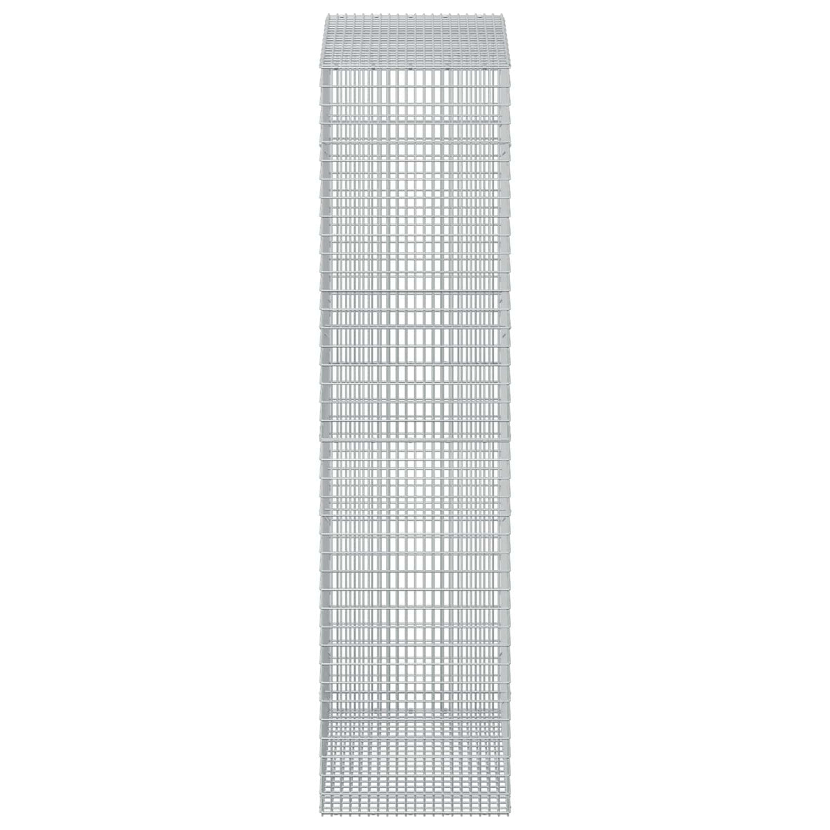Gabion with 5 mm Wire and 5x2.5 cm Mesh 50x100x200 cm 50 cm