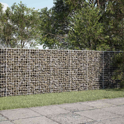 vidaXL Gabion with 5 mm Wire and 5x5 cm Mesh 250x10x100 cm 1